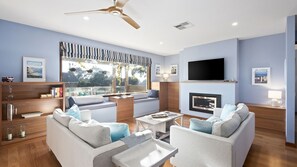 Smart TV, fireplace, books