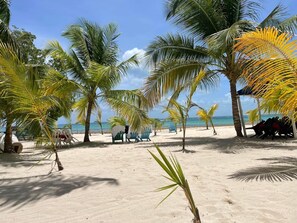 Playa en los alrededores 