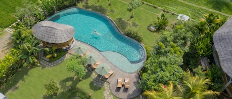 Outdoor pool, free pool cabanas, pool umbrellas