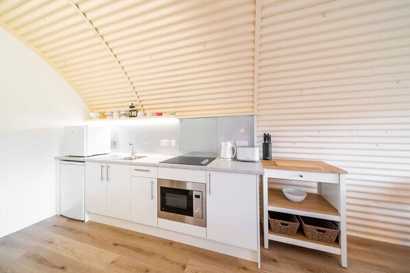 Fridge, microwave, stovetop, electric kettle