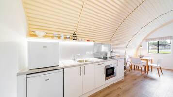 Fridge, microwave, stovetop, electric kettle