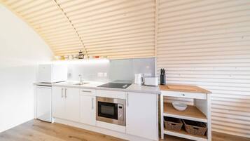 Fridge, microwave, stovetop, electric kettle