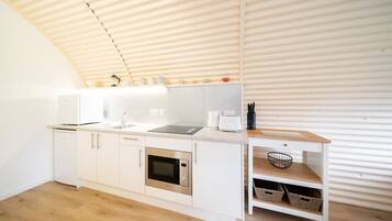 Fridge, microwave, stovetop, electric kettle