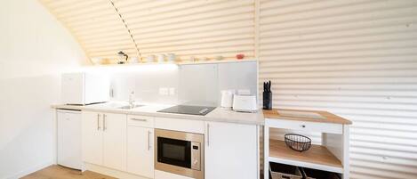 Kühlschrank, Mikrowelle, Herdplatte, Wasserkocher