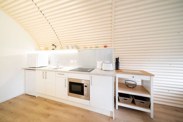 Fridge, microwave, stovetop, electric kettle