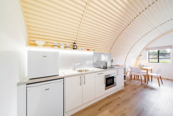 Fridge, microwave, stovetop, electric kettle