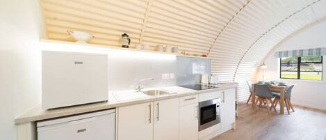 Fridge, microwave, stovetop, electric kettle