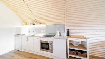 Fridge, microwave, stovetop, electric kettle