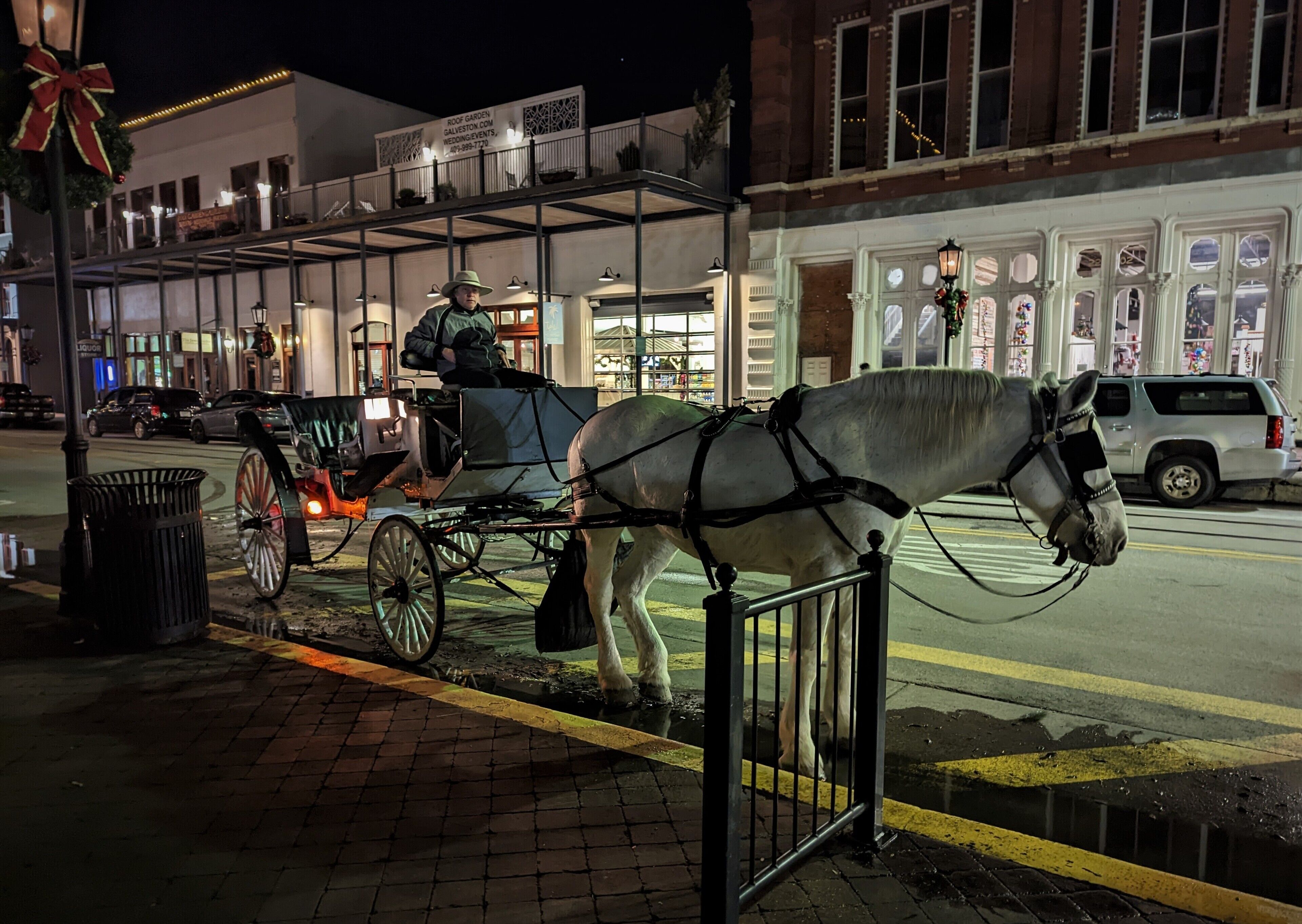 A horse-drawn carriage on a city street at night.