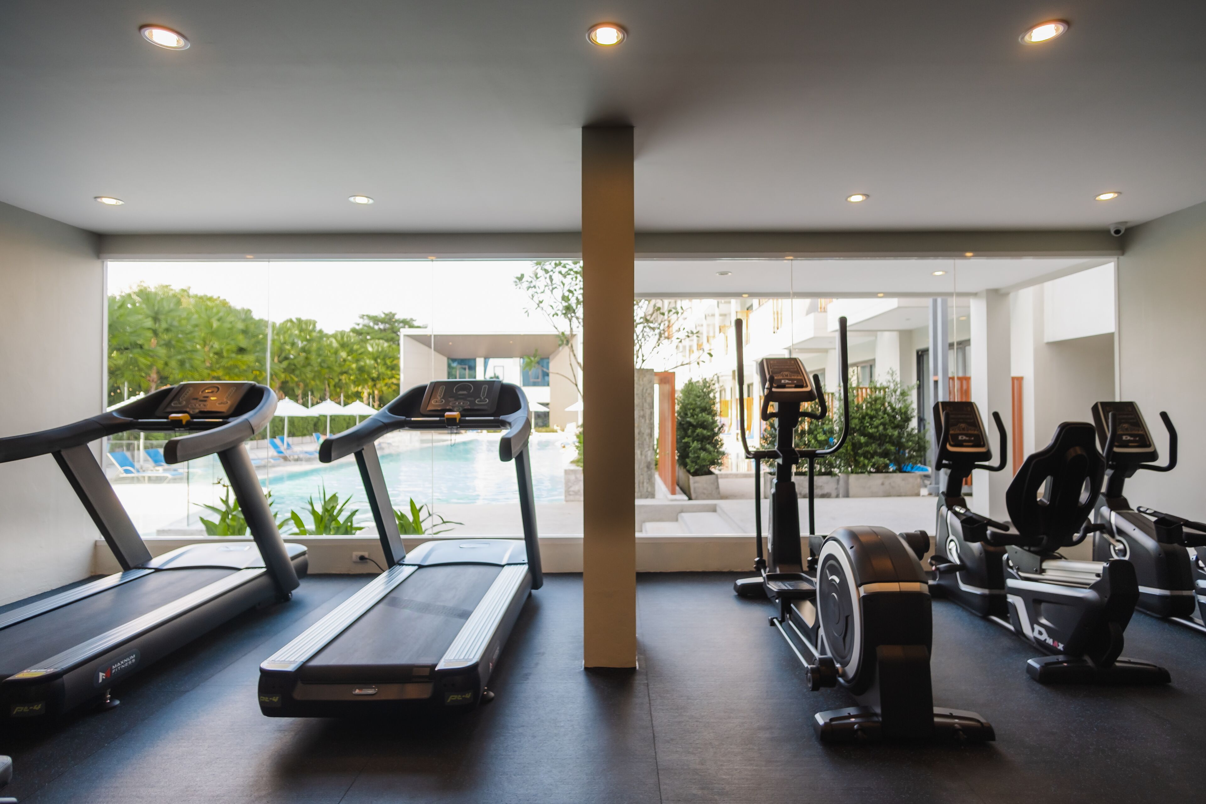 Gimnasium