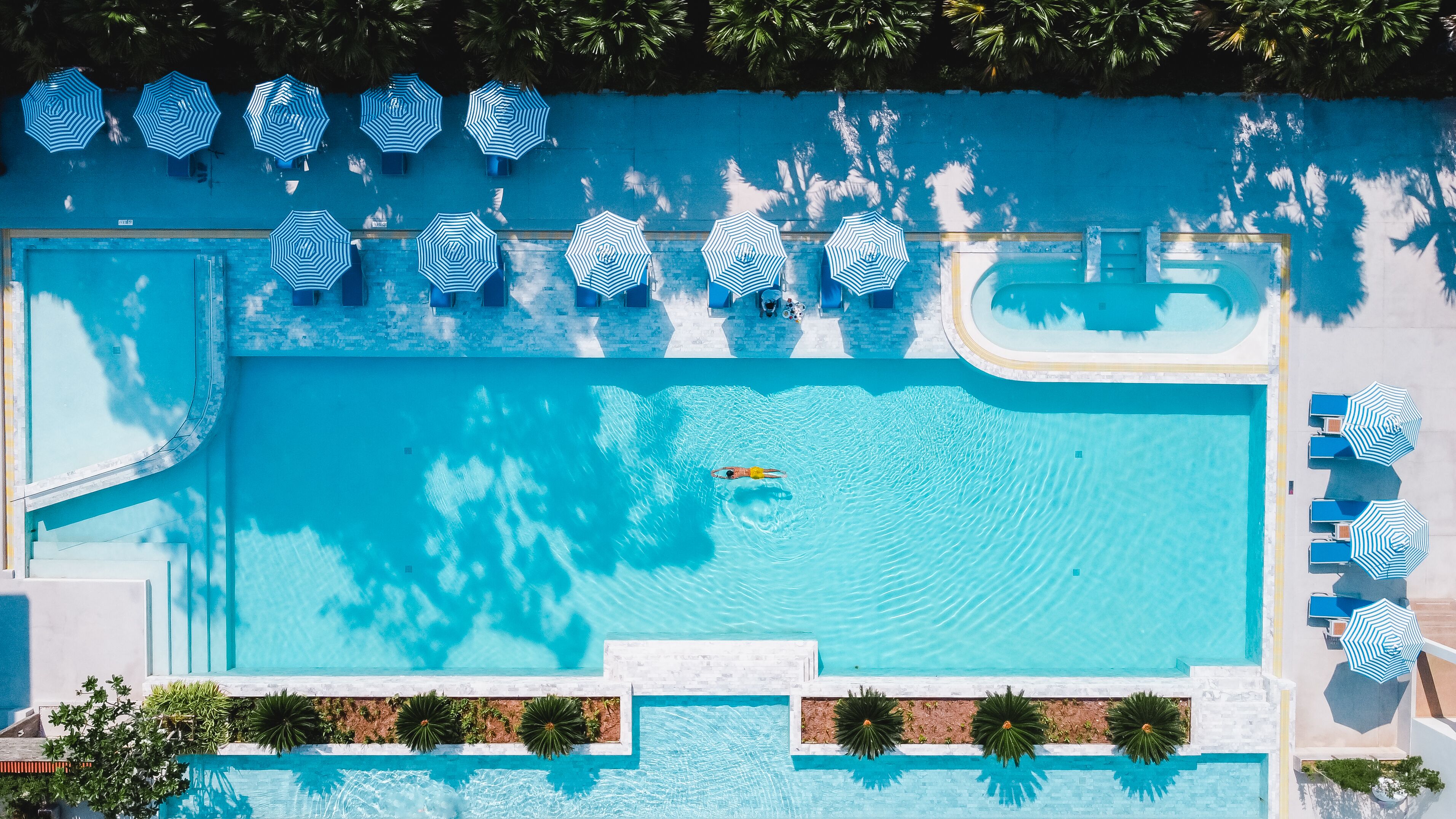 An aerial view of a swimming pool with multiple lanes, surrounded by blue umbrellas and lounge chairs.
