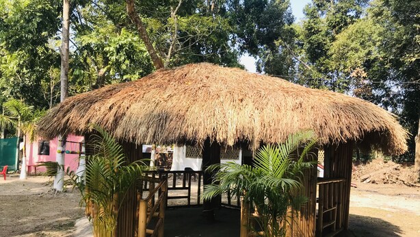 Una cabaña con techo de paja, puerta y ventanas de madera, rodeada de plantas en macetas y suelo de tierra.