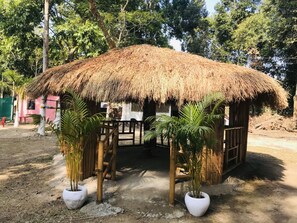 Una cabaña con techo de paja, puerta y ventanas de madera, rodeada de plantas en macetas y suelo de tierra.