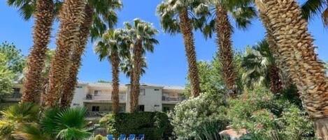 Appart'hôtel, 3 chambres | Piscine