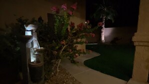 Ein Garten bei Nacht mit Wasserspiel und einer Palme.