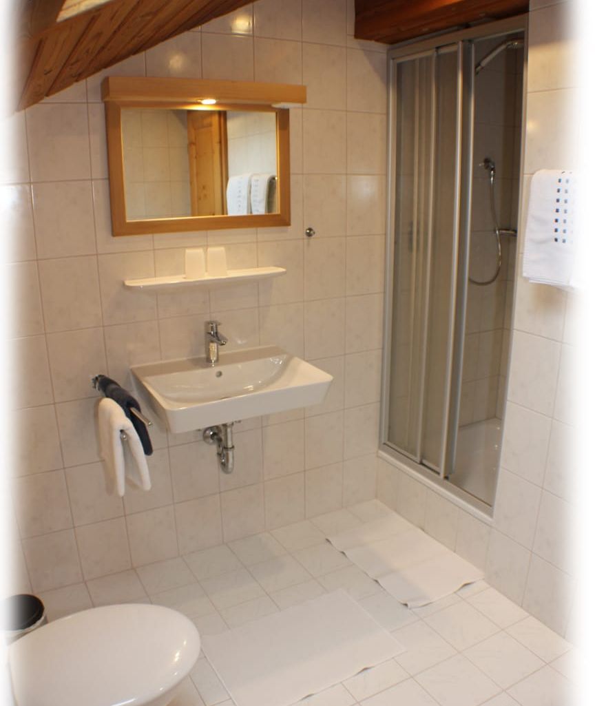 Une salle de bain avec un lavabo, un miroir et une douche.
