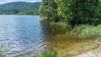 Un lac aux eaux limpides, entouré d’une forêt dense et bordé d’une plage de sable.