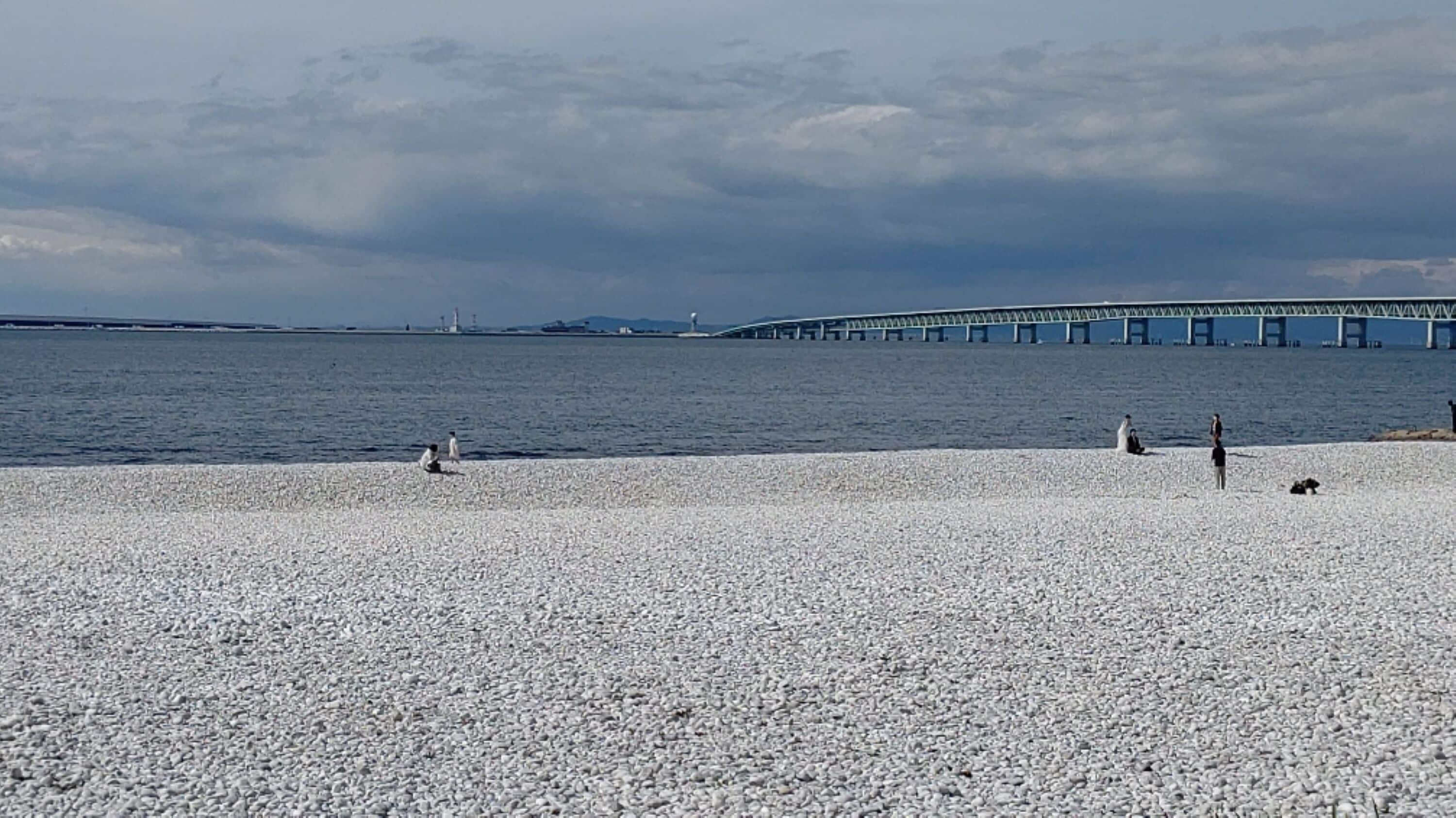 land view from property