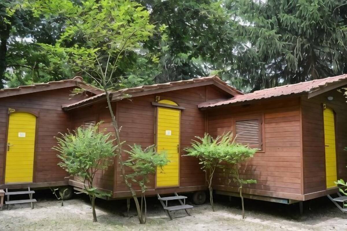 A row of wooden cabins with yellow doors, surrounded by trees.