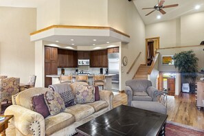 TV, fireplace, books