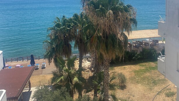 Vista costera con playa arenosa, palmeras y mar azul cristalino.