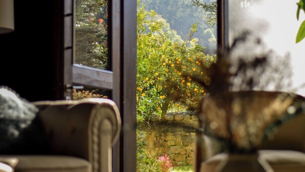 A view through a window with a stone wall and a tree with orange fruits. - Casona De La Pinta (Cartes)