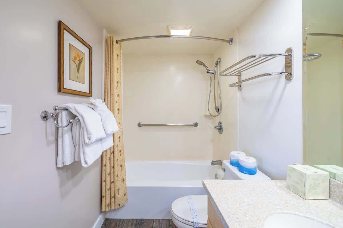 Casa de banho com banheira, sanita, suporte de toalhas e um quadro na parede.