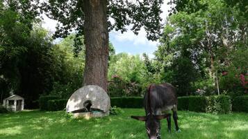 Una vaca pastando en un área con césped, un árbol y una construcción de piedra.
