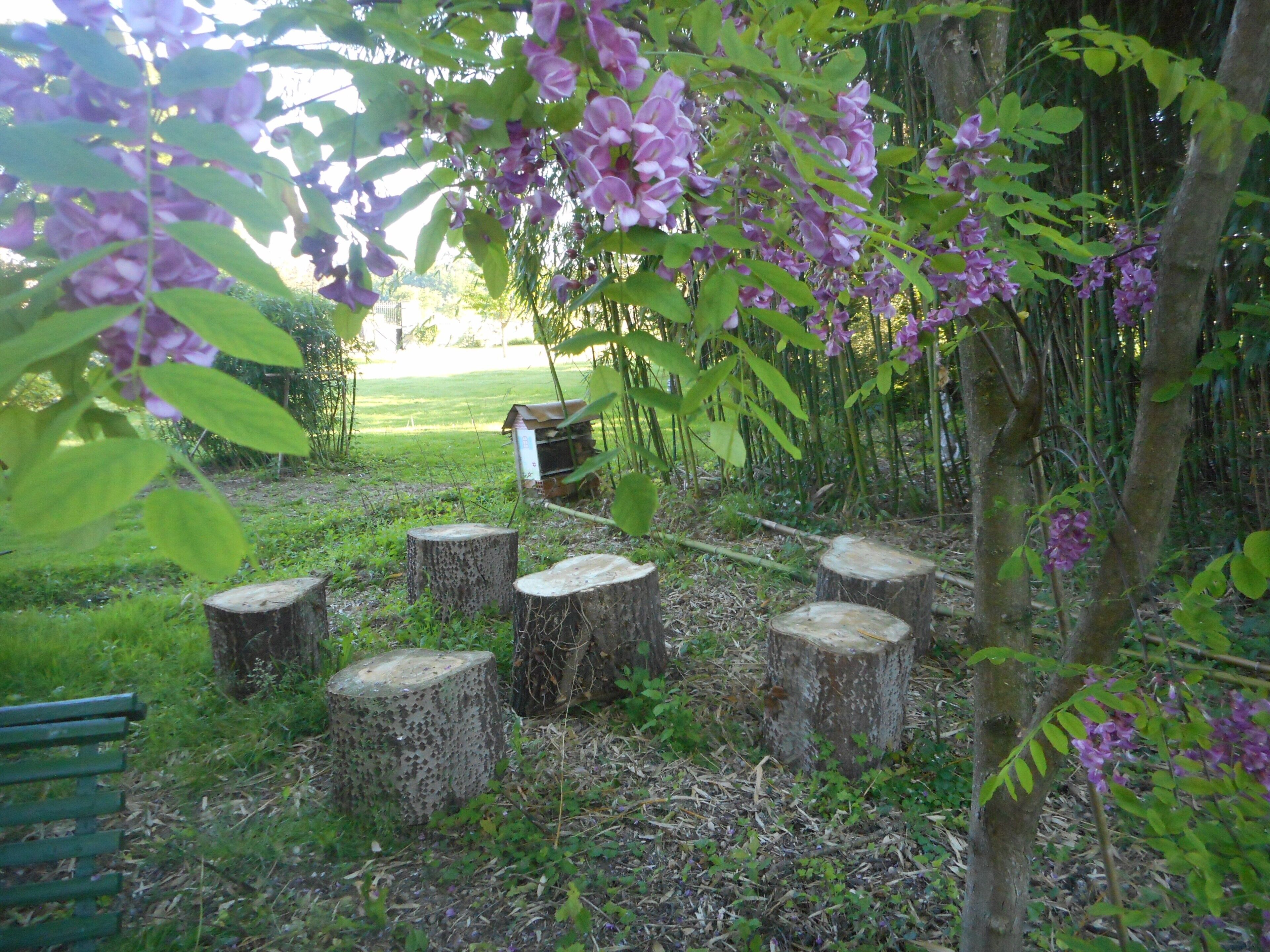 Un jardin où des troncs d’arbres en bois sont disposés en cercle, entouré de verdure et de fleurs violettes.