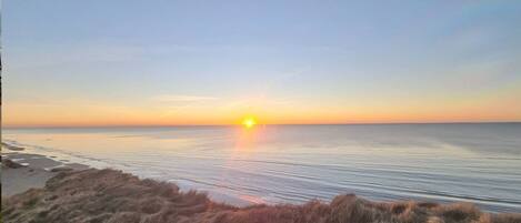 ビーチの近く、サンラウンジャー