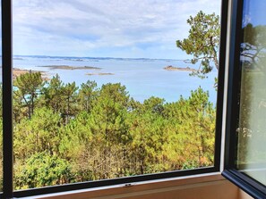 Vista a través de una ventana de un área boscosa con una masa de agua en la distancia.