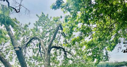 Mississippi River Winter Wonderland!