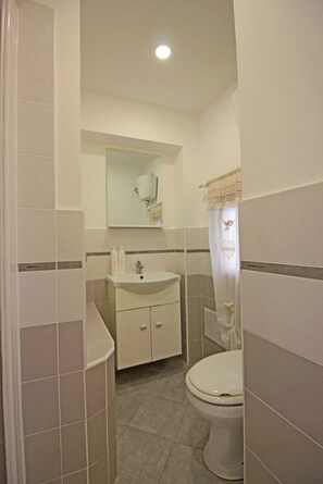 Shower, hair dryer, bidet, towels
