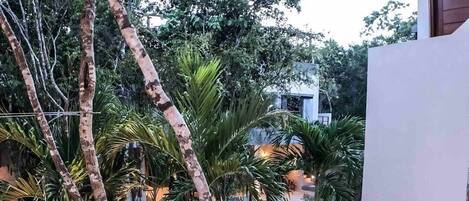 屋外プール、サンラウンジャー