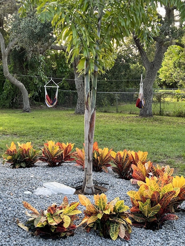 Property grounds - Close To Beach, 3Bdrm / 2 Bath Duplex (Nokomis)