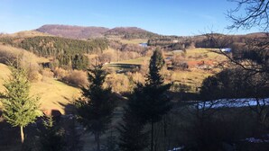 Ländliche Landschaft mit Fluss, bewaldeten Gebieten und weit entfernten Hügeln.