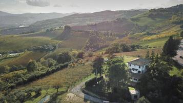 Un paysage rural avec des vignobles, une maison blanche entourée d’arbres et, au loin, des collines ondulantes.