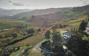 Cabin | Exterior - Glamping at an Agriturismo in the Vineyard (Ortezzano)