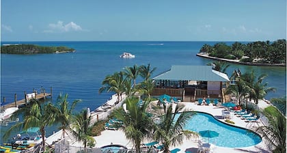 $150/Night! The Hammocks at Marathon Key!