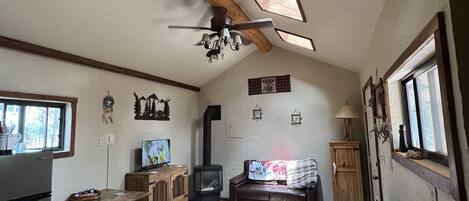 Smart-tv, een open haard, een dvd-speler en een filmbibliotheek