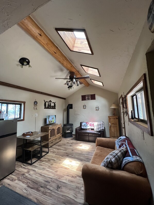 Smart TV, chimenea, reproductor de DVD y videoteca 