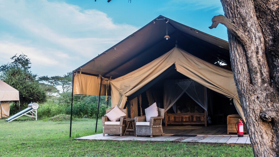 Africa Safari South Serengeti