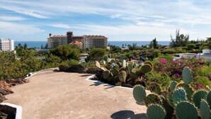 A hotel with a desert garden, including cacti and flowering plants, and a view of the ocean.