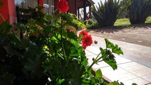 A red building with a covered patio area, surrounded by green plants and large agave plants. - Pousada Por do Sol (Camanducaia)