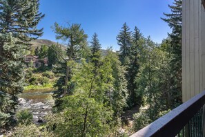 Property grounds - Updated condo overlooking Eagle River - minutes to Beaver Creek & Vail (Eagle-Vail)