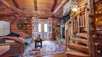 TV connectée, cheminée, lecteur de DVD, livres