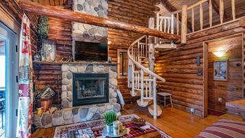 TV connectée, cheminée, lecteur de DVD, livres