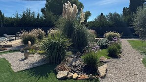 Ein angelegter Garten mit verschiedenen Pflanzen, Steinen und einem Kiesweg.