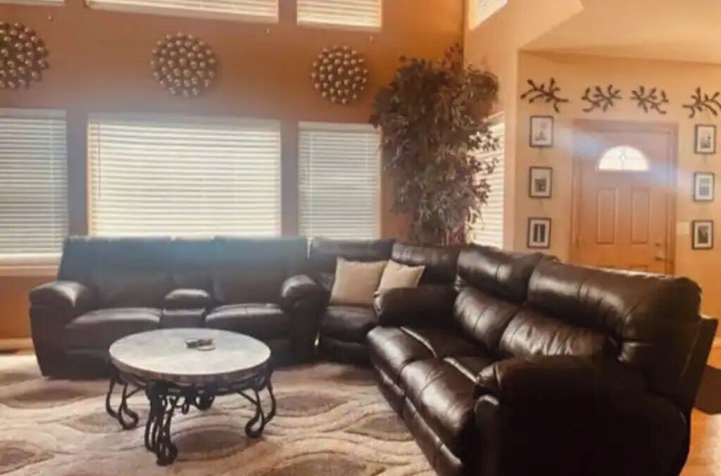 A living room with a brown leather sofa, a round coffee table, and a large potted plant.