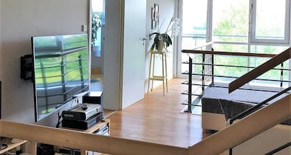Great big apartment with fireplace and terrace
